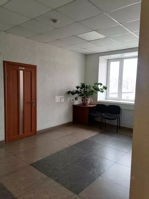 Офис в Новосибирская область, Новосибирск Советская ул., 4А (30 м) - Фото 2
