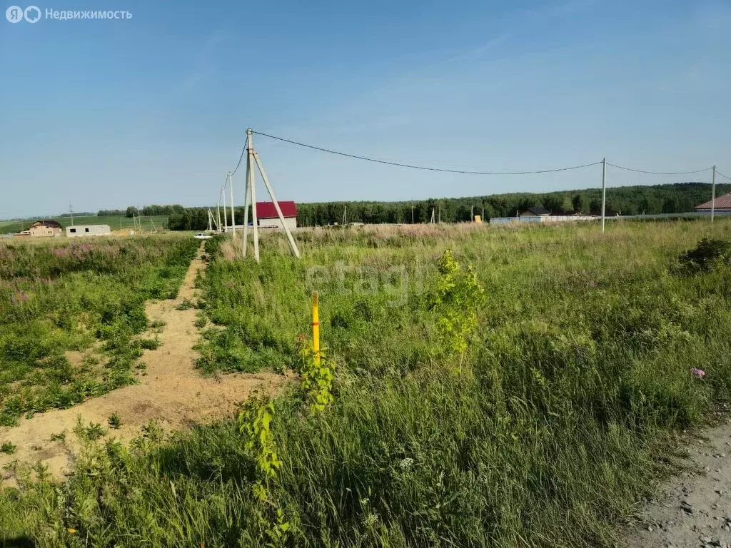 Участок в Свердловская область, Ирбитское муниципальное образование, ... - Фото 0