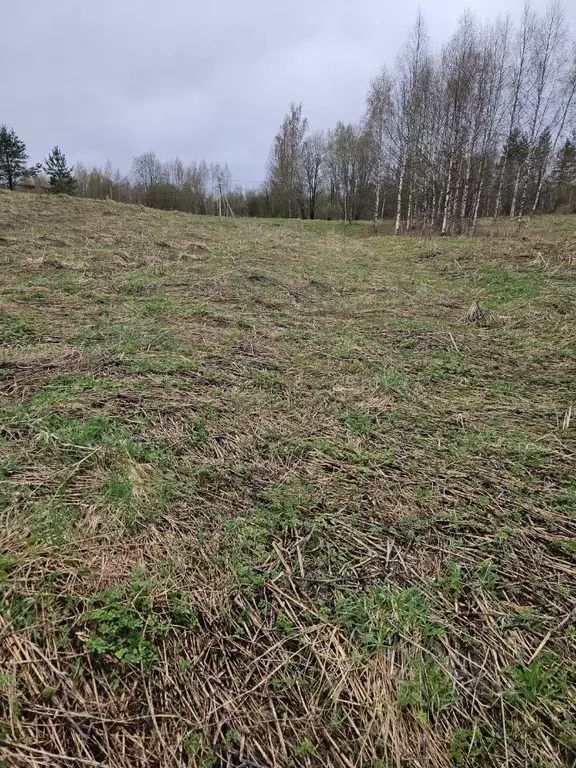 Участок в Новгородская область, Валдайский район, Короцкое с/пос, д. ... - Фото 1