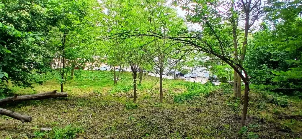 Участок в Кабардино-Балкария, Чегемский район, Осина СДТ ул. Рублевка, ... - Фото 1