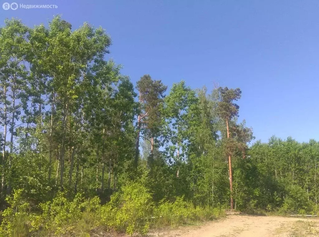 Участок в Иркутский муниципальный округ, деревня Новолисиха, Зелёная ... - Фото 1