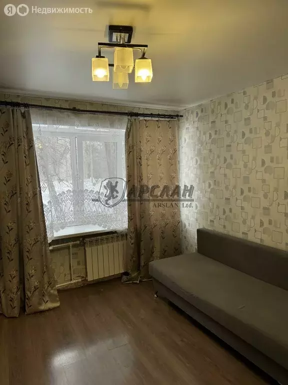 1-комнатная квартира: Казань, Кирпичная улица, 1/31 (19 м) - Фото 2