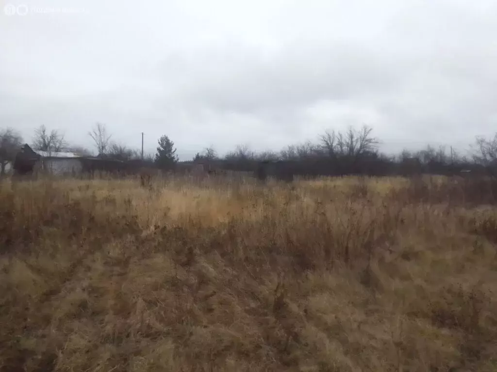 Участок в Пензенский район, Богословский сельсовет, СДТ Надежда (4 м) - Фото 1