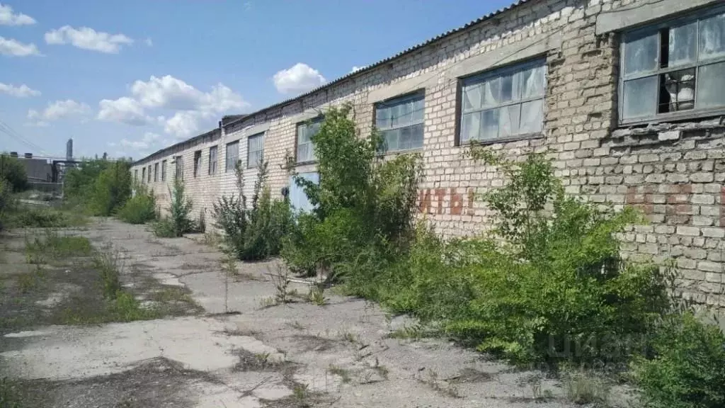 Помещение свободного назначения в Волгоградская область, Михайловка ... - Фото 2