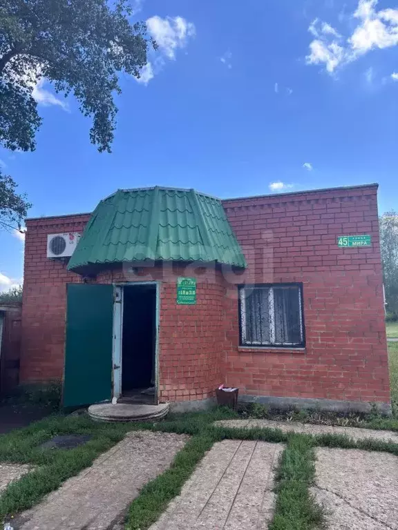 Торговая площадь в Воронежская область, Верхнехавский район, с. ... - Фото 1