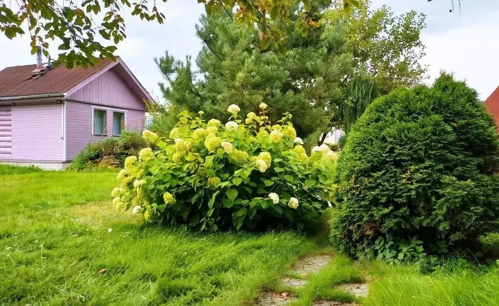 Дом в Московская область, Черноголовка городской округ, д. Старки 19А ... - Фото 0