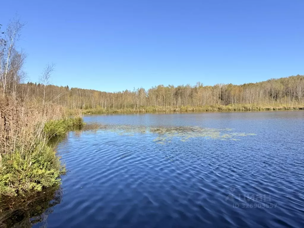 Участок в Московская область, Дмитровский муниципальный округ, д. ... - Фото 2
