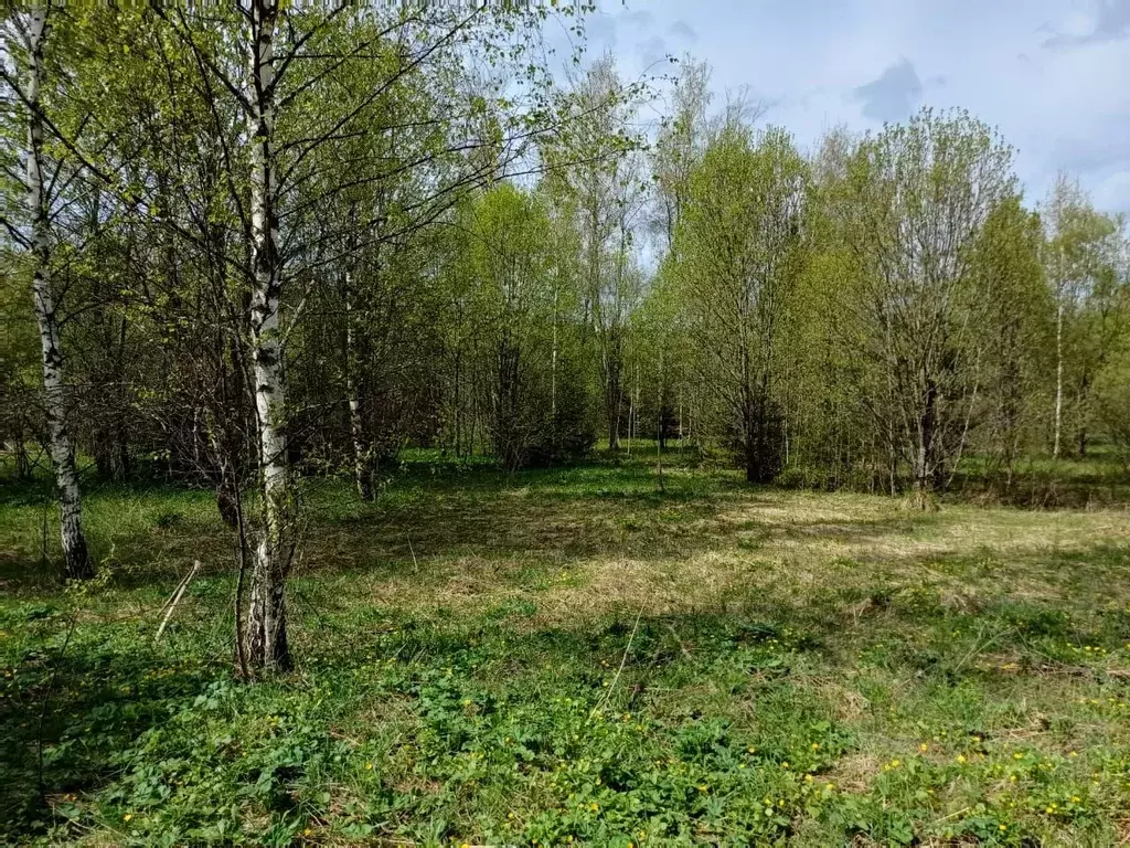 Участок в Московская область, Рузский муниципальный округ, Рузские ... - Фото 1