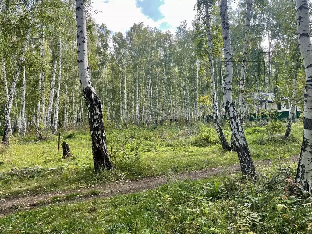 Участок в Башкортостан, Абзелиловский район, Ташбулатовский сельсовет, ... - Фото 1