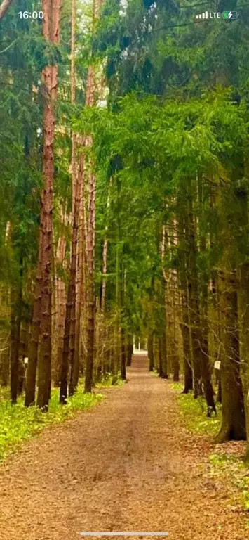 Дом в Москва Воскресенское поселение, Строитель СНТ, 62 (80 м) - Фото 2