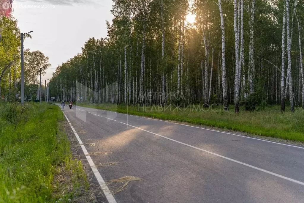Участок в Тюмень, ДНТСН Зелёный Бор (13.35 м) - Фото 0