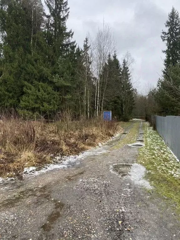 Участок в Московская область, Щелково городской округ, Заозерный СНТ  ... - Фото 2
