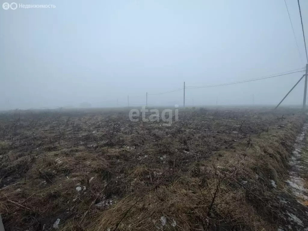 Участок в Мясниковский район, село Чалтырь (8 м) - Фото 0