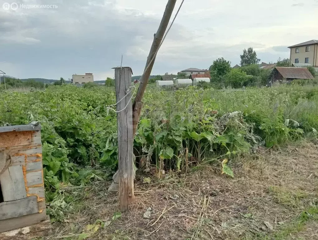 Участок в Тургояк, улица Ленина (6.64 м) - Фото 1