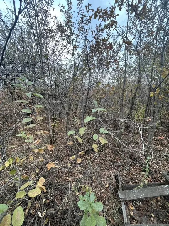 Дом в Самарская область, Волжский район, Смышляевка городское ... - Фото 0