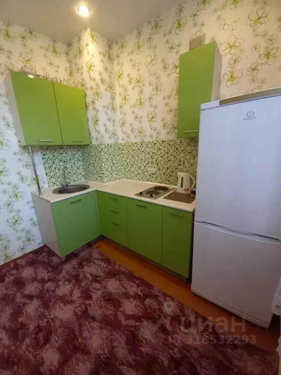 1-к кв. Новосибирская область, Новосибирск Красный просп., 66 (42.0 м) - Фото 0