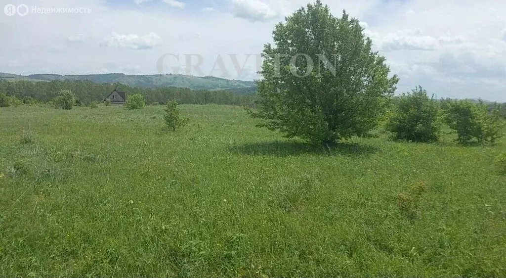Участок в Майминский район, село Подгорное, Магистральная улица (14.5 ... - Фото 2
