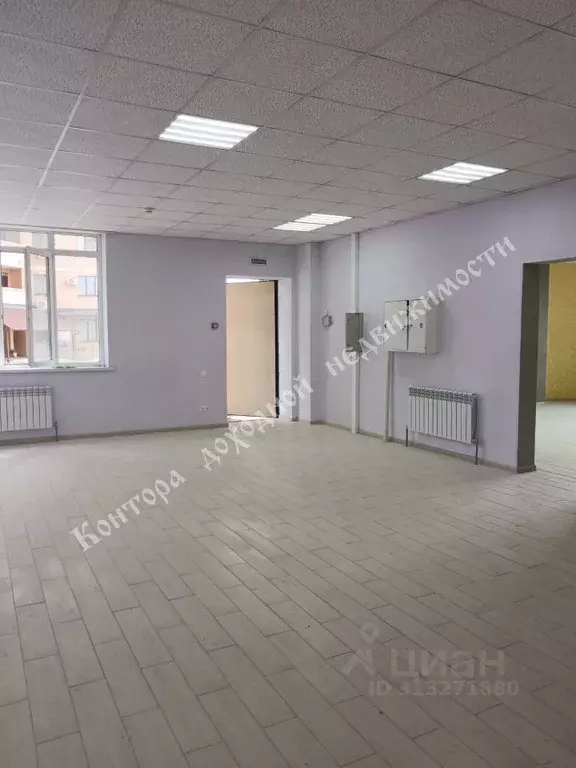 Помещение свободного назначения в Ростовская область, Ростов-на-Дону ... - Фото 1