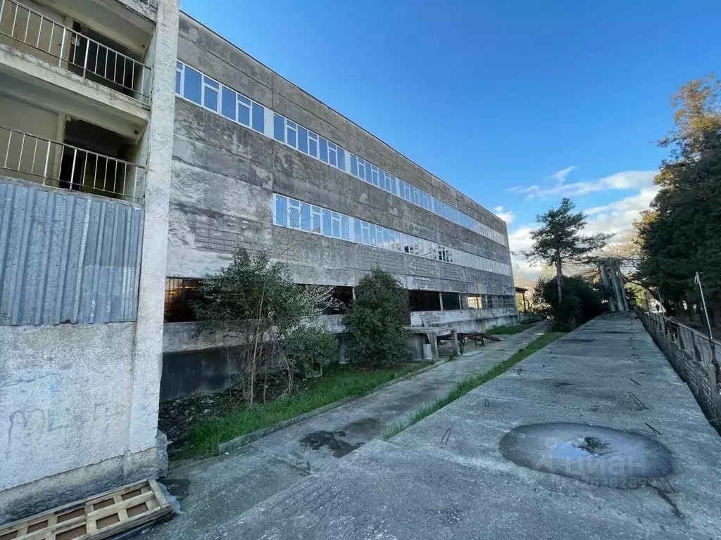 Помещение свободного назначения в Краснодарский край, Сочи ул. ... - Фото 2