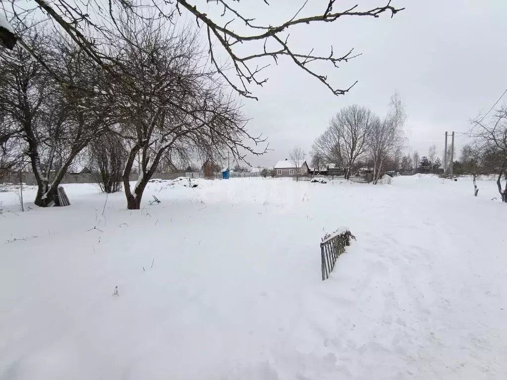 Участок в Смоленская область, Смоленский муниципальный округ, с. ... - Фото 2