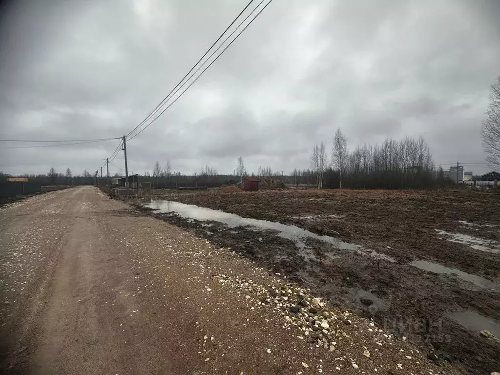 Участок в Новгородская область, Малая Вишера ул. Березовая Аллея (11.0 ... - Фото 0