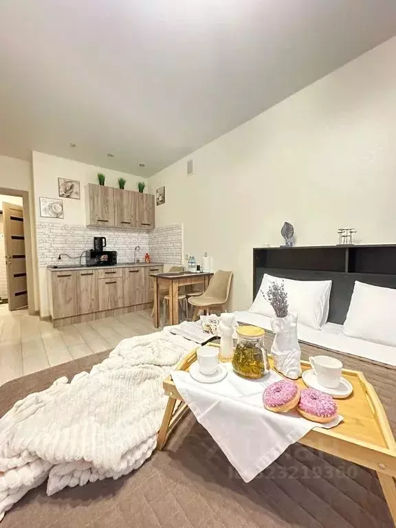 1-к кв. Мордовия, Саранск ул. Короленко, 1 (29.0 м) - Фото 2