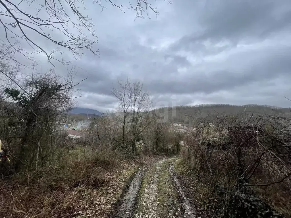 Участок в Краснодарский край, Геленджик городской округ, с. Пшада  ... - Фото 2