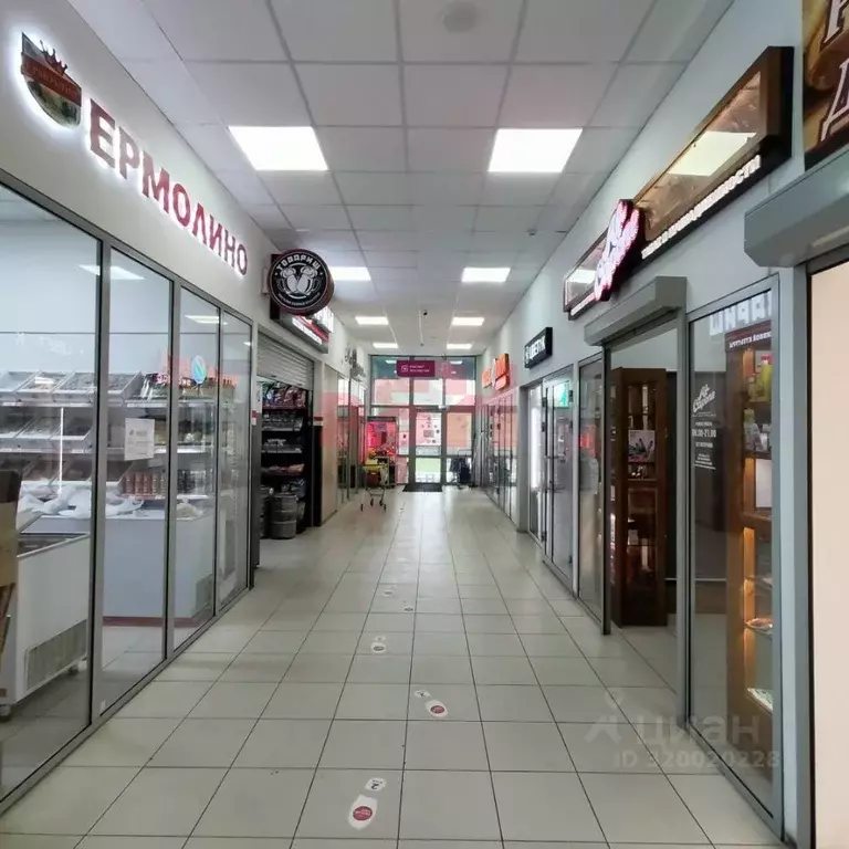 Торговая площадь в Пензенская область, Пенза ул. Карпинского (10 м) - Фото 2