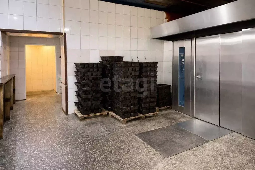 Помещение свободного назначения в Алтай, Майминский район, с. Майма ... - Фото 1