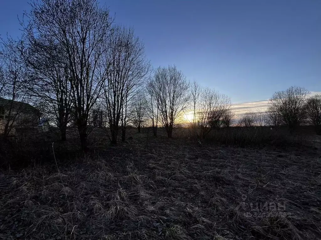 Участок в Ленинградская область, Волхов Шкурина Горка мкр, Г кв-л,  ... - Фото 2