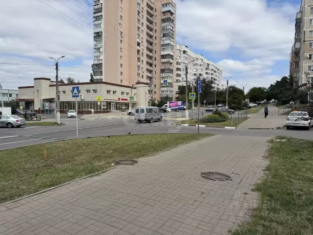 3-к кв. Белгородская область, Белгород 10-й мкр, ул. Спортивная, 5 ... - Фото 2