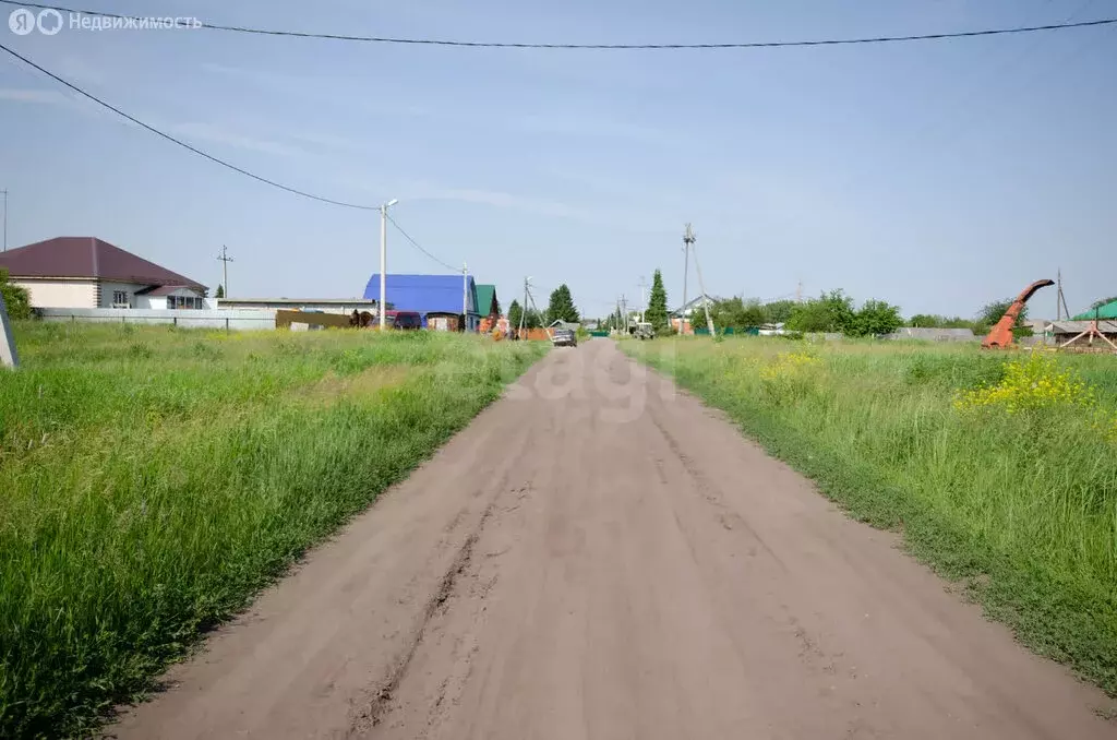 Участок в Ялуторовский район, деревня Криволукская, Полевая улица ... - Фото 1