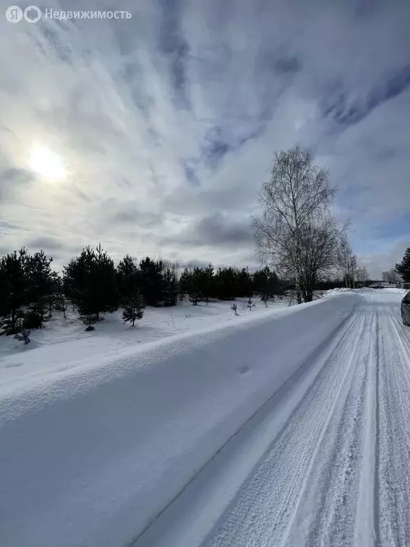 Участок в Ивановский муниципальный округ, СНТ Новое Клинцево (15 м) - Фото 2