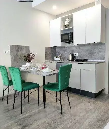 Студия Санкт-Петербург Витебский просп., 99к1 (25.0 м) - Фото 2