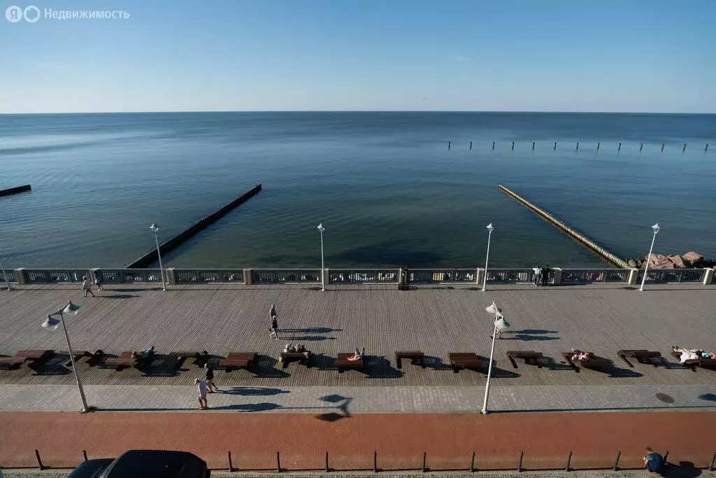 Помещение свободного назначения (223.5 м) - Фото 0