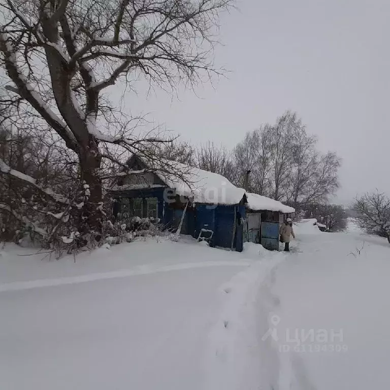 Дом в Мордовия, Рузаевский район, с. Болдово Никольская ул. (50 м) - Фото 1