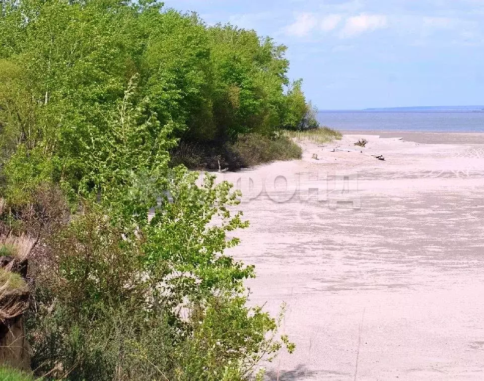 Участок в Новосибирская область, Ордынский район, с. Красный Яр  ... - Фото 0
