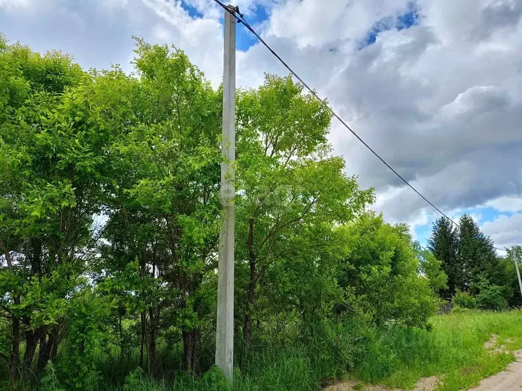 Участок в Амурская область, Благовещенск Ясное СНТ,  (10.0 сот.) - Фото 1
