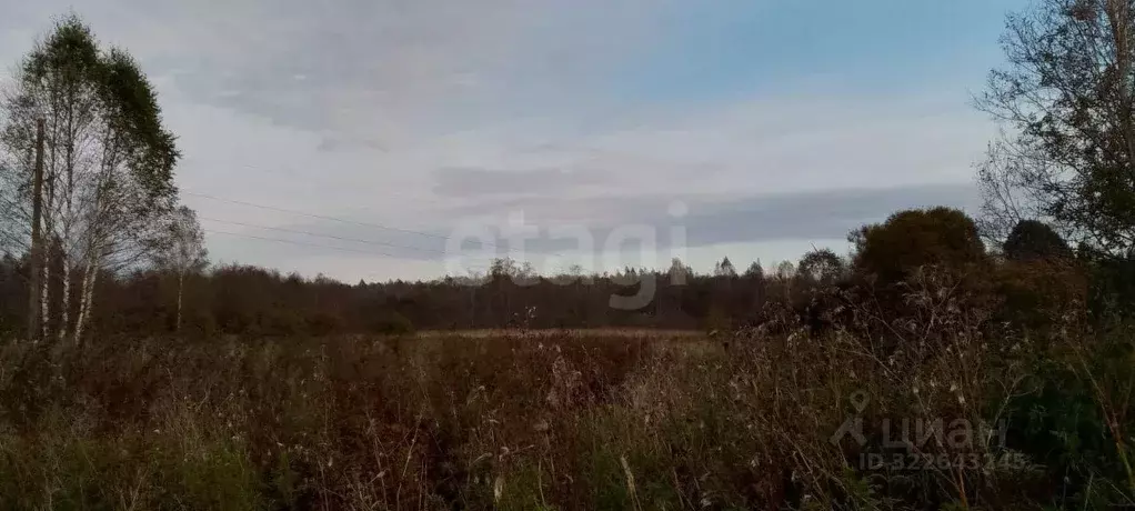 Участок в Псковская область, Порховский муниципальный округ, д. ... - Фото 1