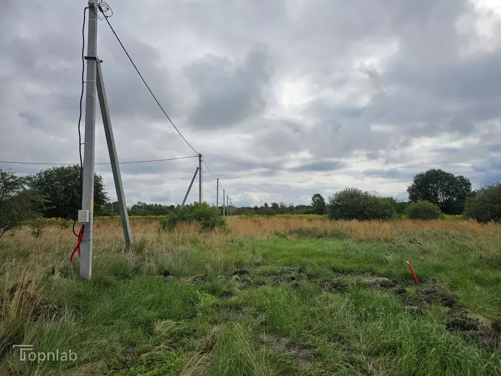 Участок в Калининградская область, Гурьевский муниципальный округ, ... - Фото 1