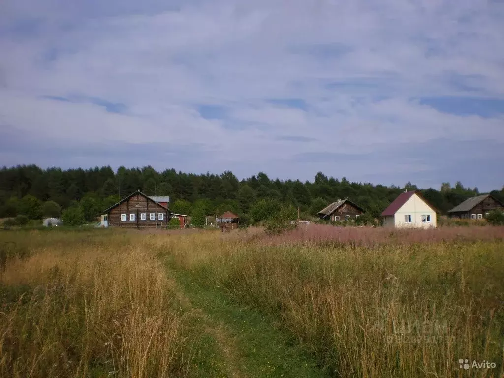 Участок в Карелия, Кондопожский район, Новинское с/пос, д. Лукин ... - Фото 2