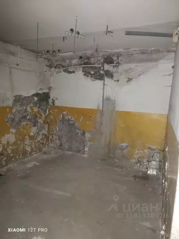 Помещение свободного назначения в Омская область, Омск ул. 12 Декабря, ... - Фото 1