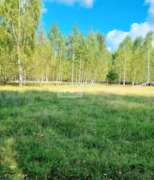 Участок в Нижегородская область, Воротынский муниципальный округ, с. ... - Фото 2