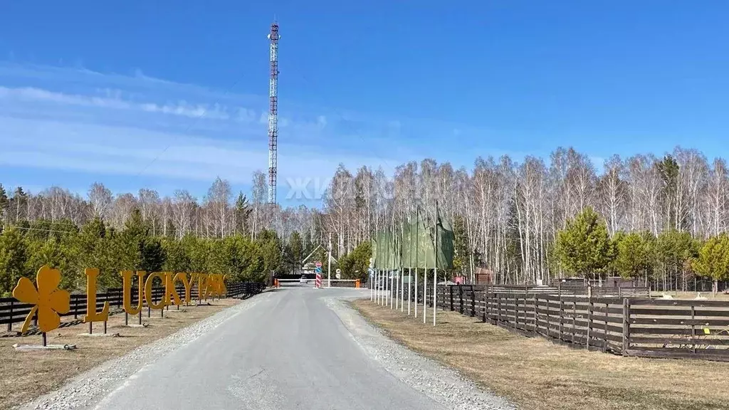 Участок в Новосибирская область, Новосибирский район, Кубовинский ... - Фото 1