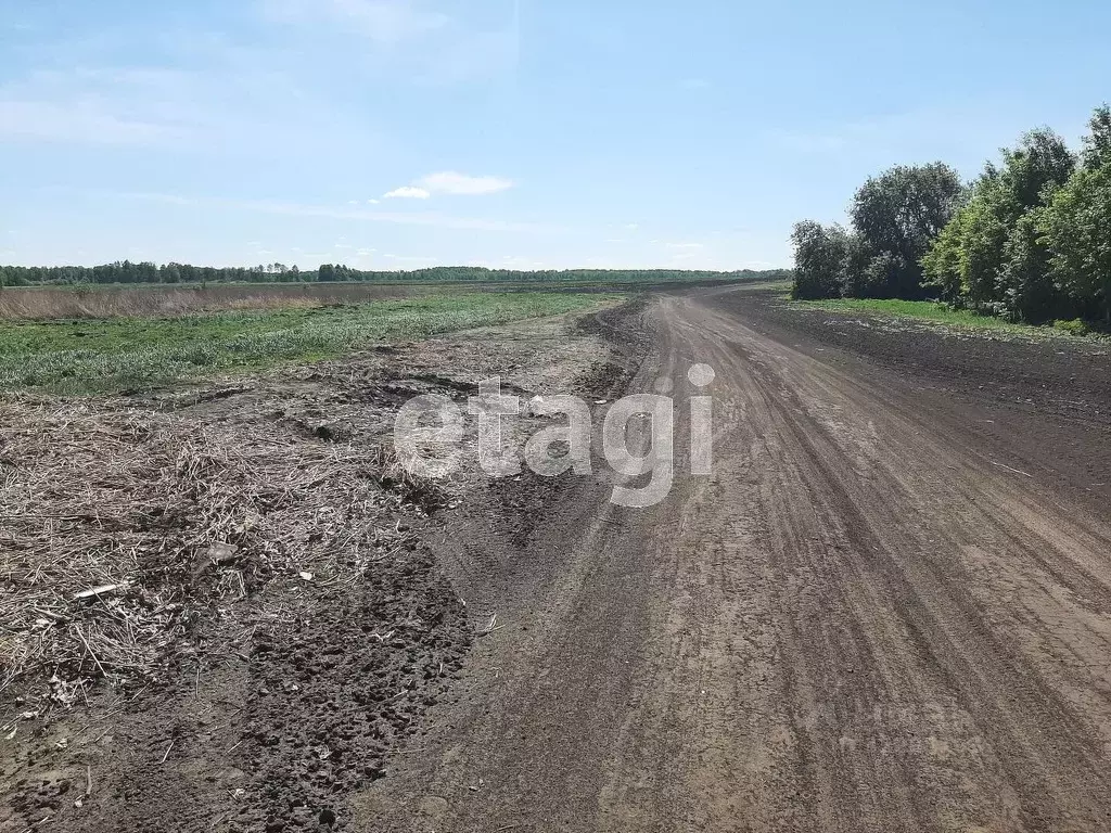 Участок в Тюменская область, Тюменский муниципальный округ, д. Большие ... - Фото 1