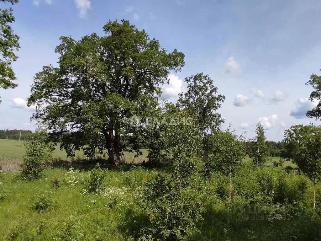 Участок в Ленинградская область, Приозерский район, Плодовское с/пос, ... - Фото 1