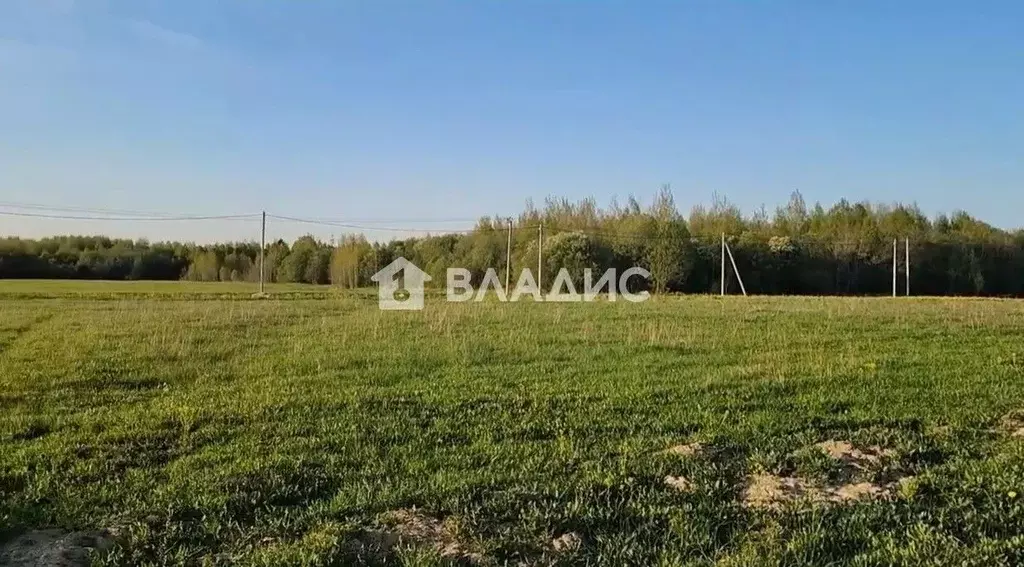 Участок в Ленинградская область, Ломоносовский район, Русско-Высоцкое ... - Фото 2