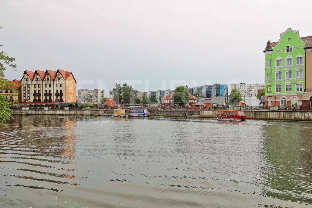 Помещение свободного назначения в Калининградская область, Калининград ... - Фото 1