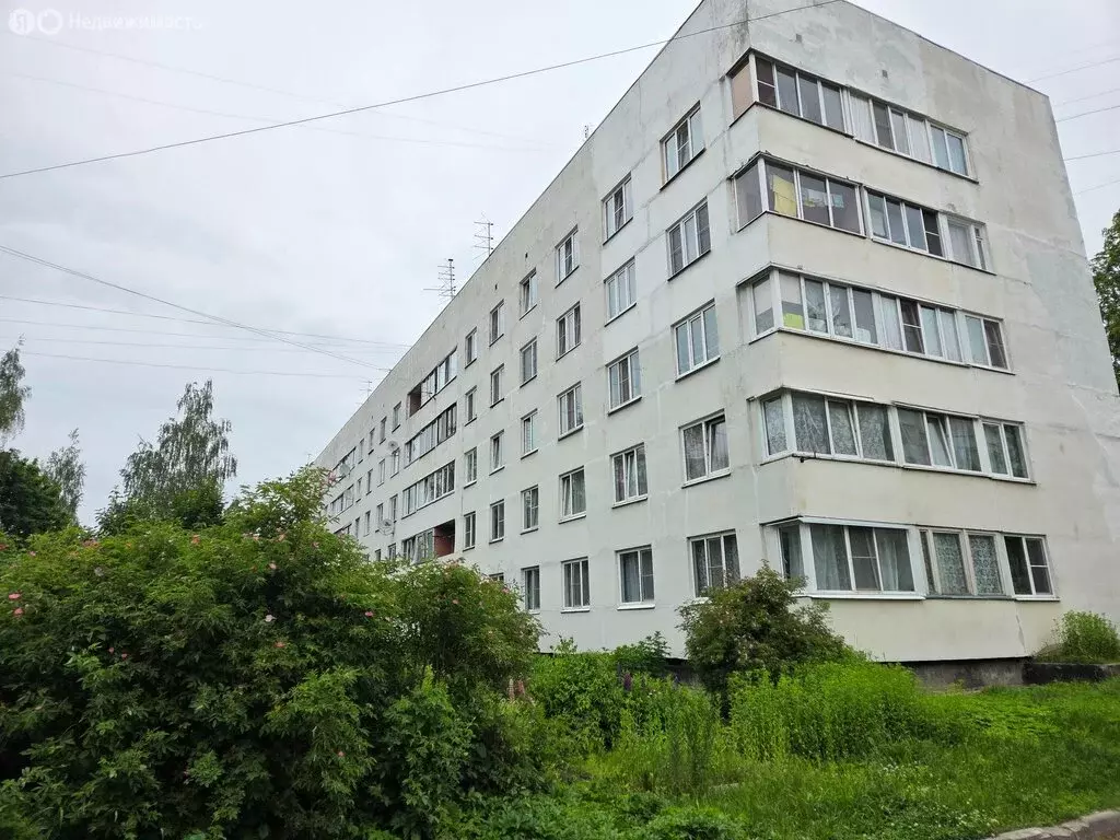 2-комнатная квартира: посёлок Романовка, 27 (47 м) - Фото 1