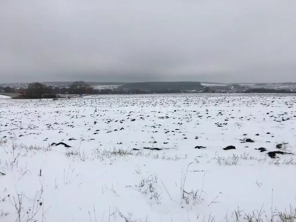 Участок в Белгородская область, Белгородский район, Беловское с/пос, ... - Фото 0